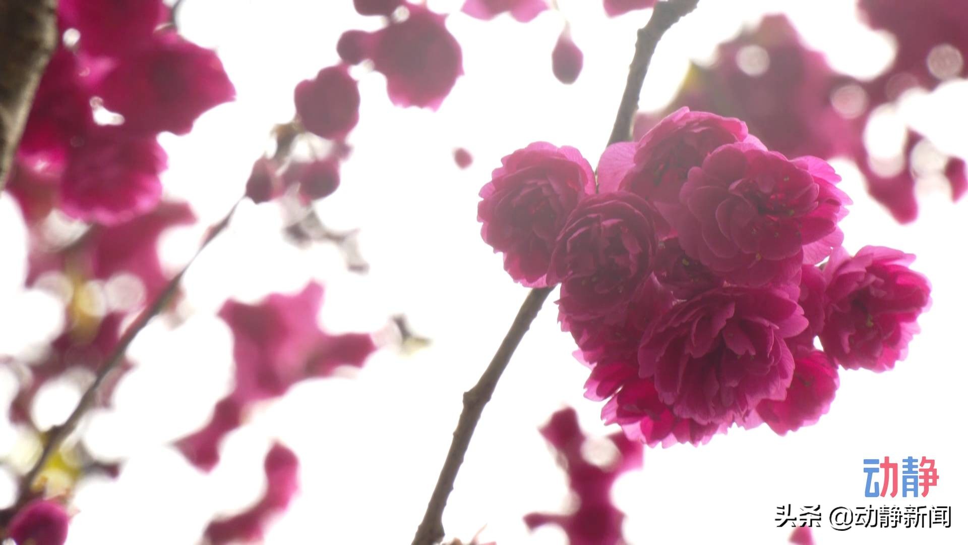 贵州赤水的美景,赤水浪漫景点