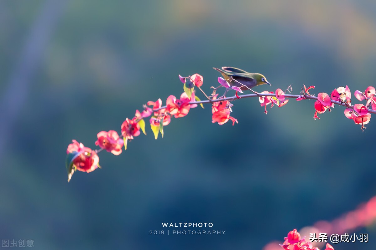 高情商女人如何正确引导男人付出,高情商的女人如何让男人有成就感