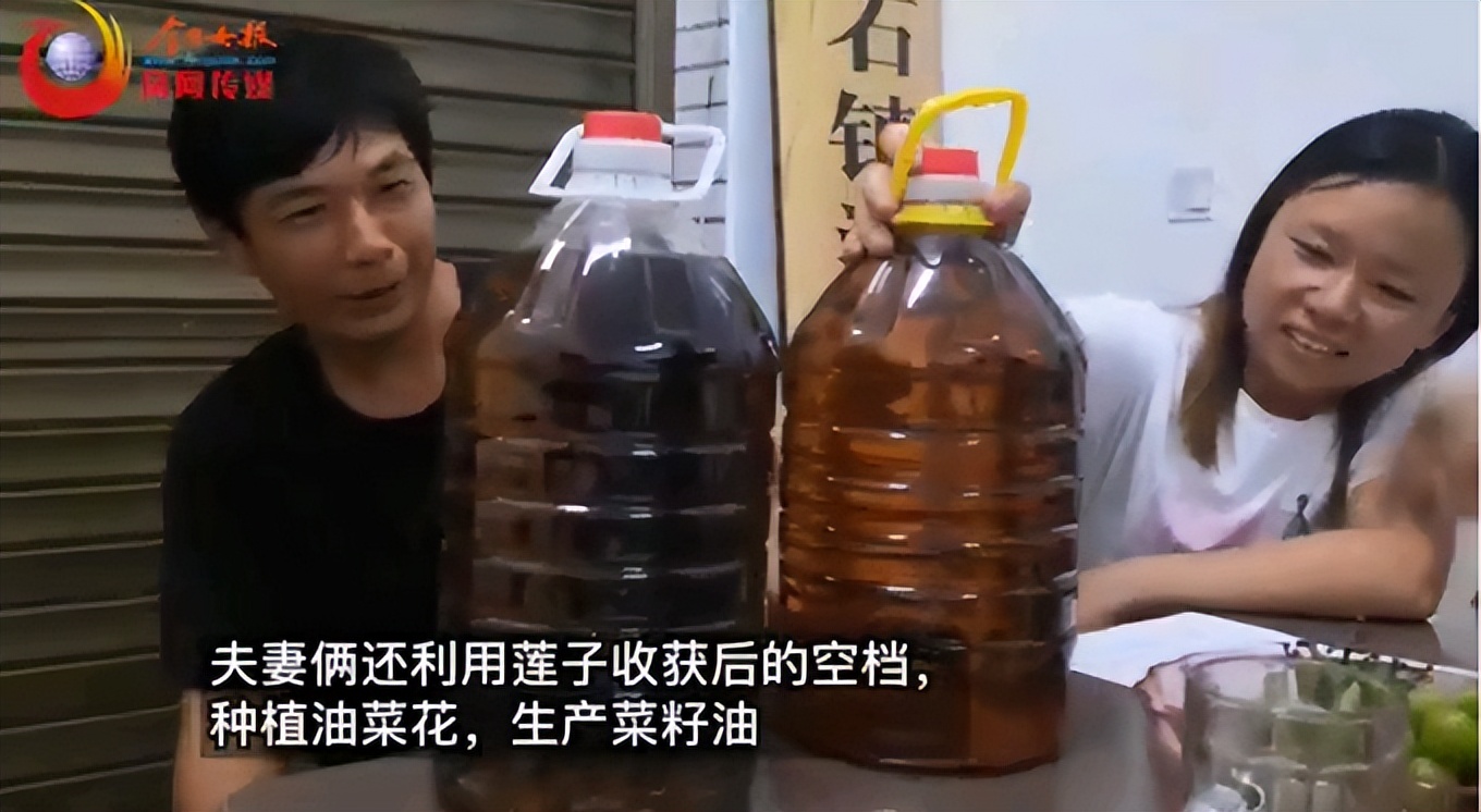 香港美心冰皮月饼好吃吗,香港美心冰皮月饼是素食吗