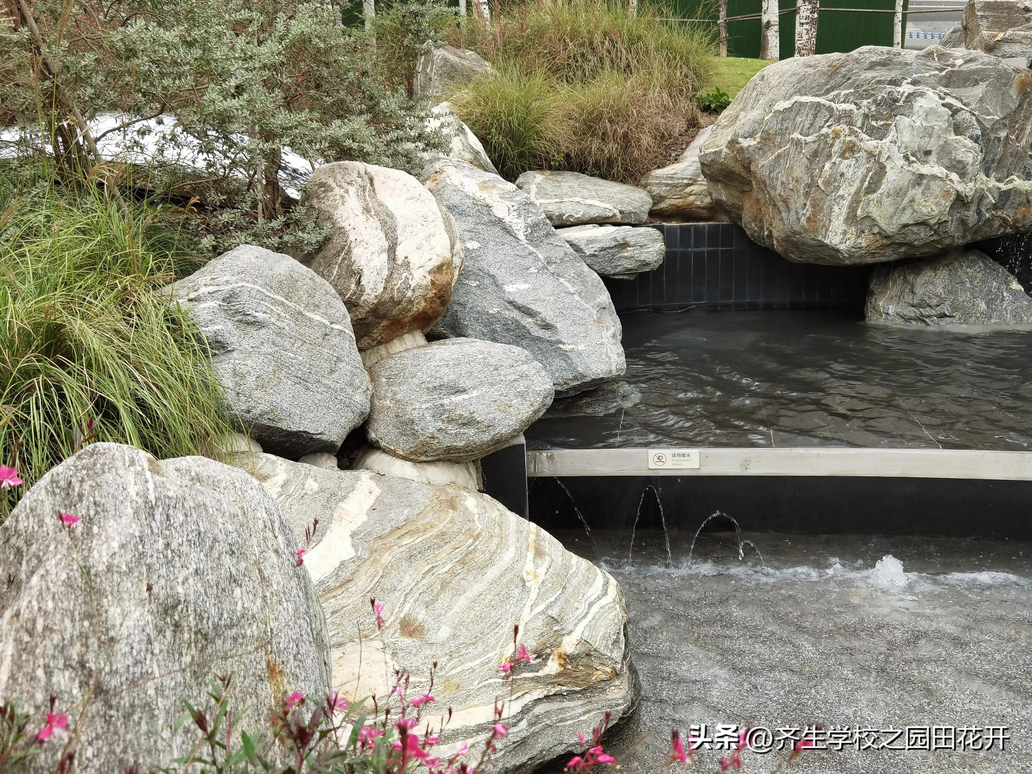 庭院假山别墅花园视频,庭院花园设计实景图凉亭假山鱼池
