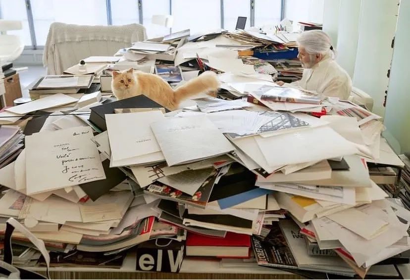 刘雯邓文迪,邓文迪杨紫琼