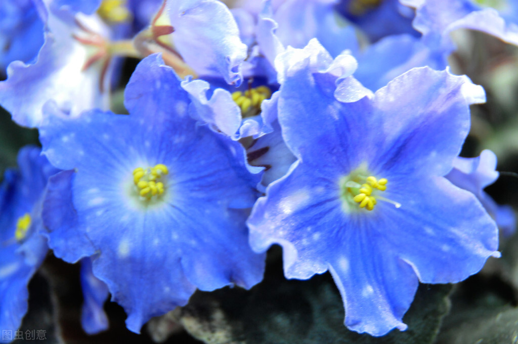 早安暖心治愈系心语语录