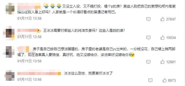 央视记者王冰冰走红原因图文,央视女记者对王冰冰的评价