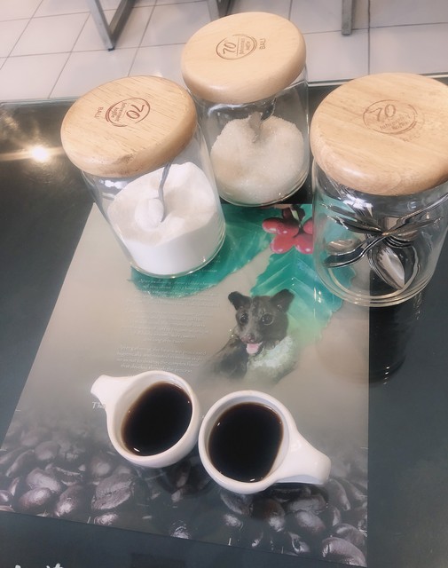 十大高档咖啡猫屎咖啡,猫屎咖啡和什么咖啡最贵