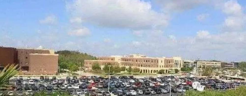 波浪地下停车场,波浪停车