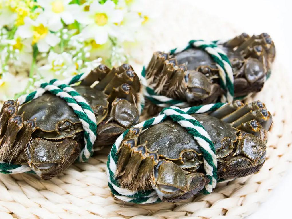 <html>
<head><title>502BadGateway</title></head>
<body>
<center><h1>502BadGateway</h1></center>
<hr><center>nginx</center>
</body>
</html>
<!--apaddingtodisableMSIEandChromefriendlyerrorpage-->
<!--apaddingtodisableMSIEandChromefriendlyerrorpage-->
<!--apaddingtodisableMSIEandChromefriendlyerrorpage-->
<!--apaddingtodisableMSIEandChromefriendlyerrorpage-->
<!--apaddingtodisableMSIEandChromefriendlyerrorpage-->
<!--apaddingtodisableMSIEandChromefriendlyerrorpage-->
