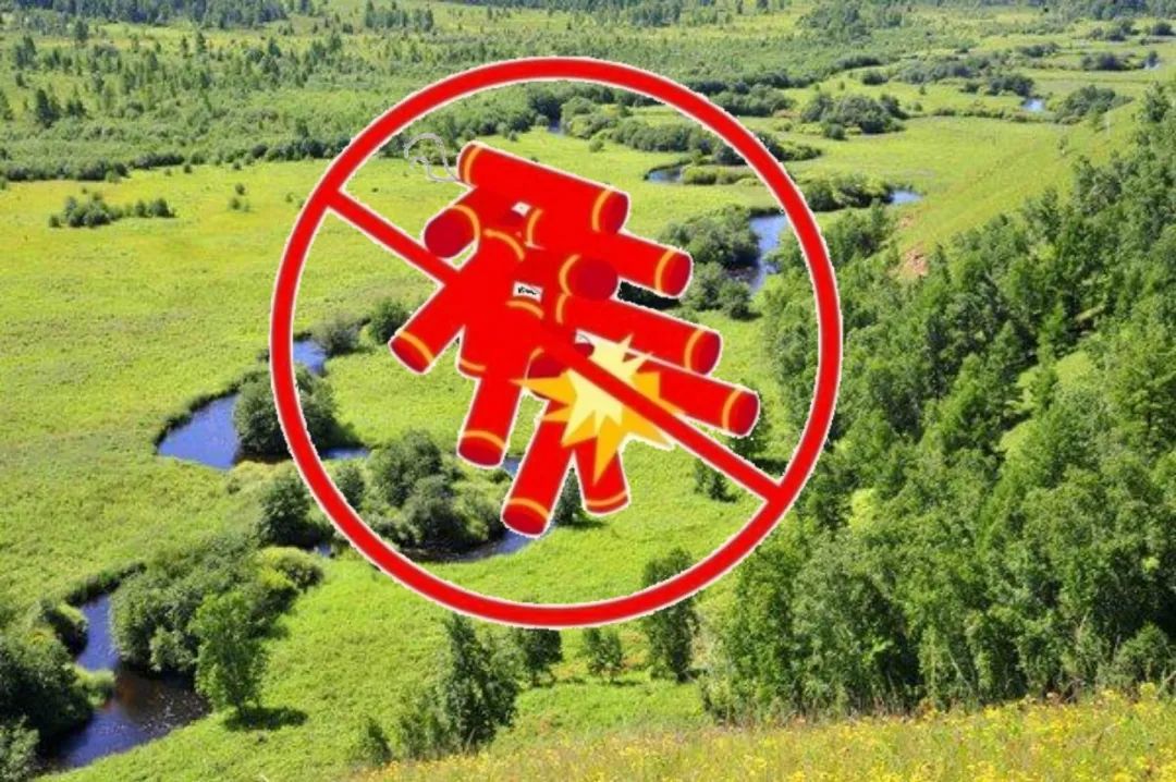 燃放*花爆烟竹**，这些规定你知道吗？