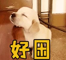 困困困困困困，考研人每天都好困怎么办？