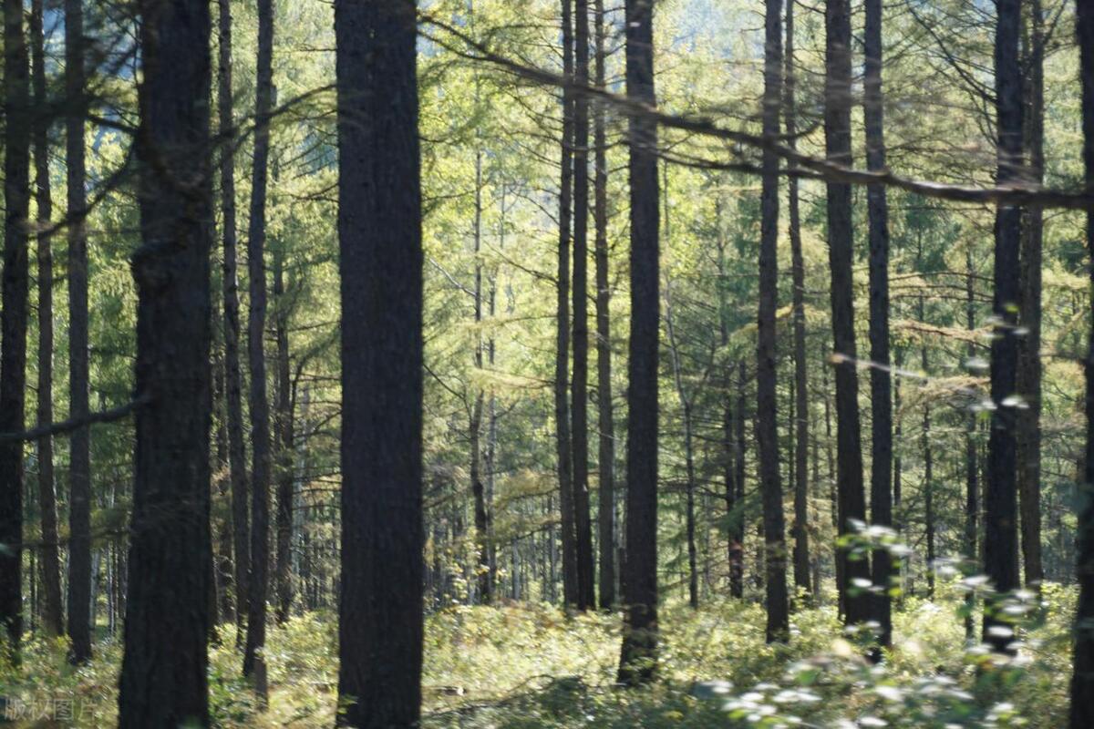 厦门翔安区十大旅游景点,厦门十大最美景点