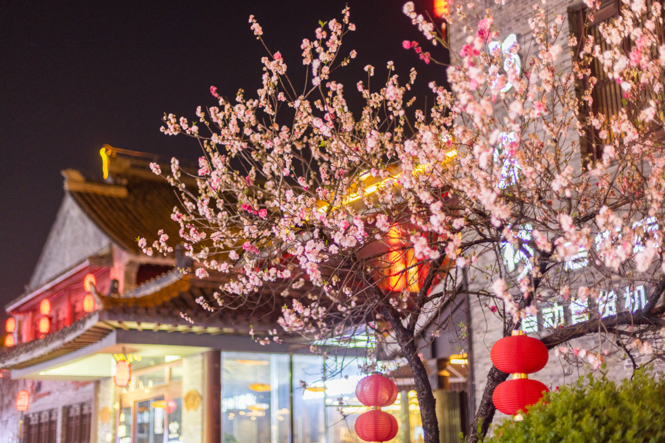 春日下江南杭州,春日下江南古镇