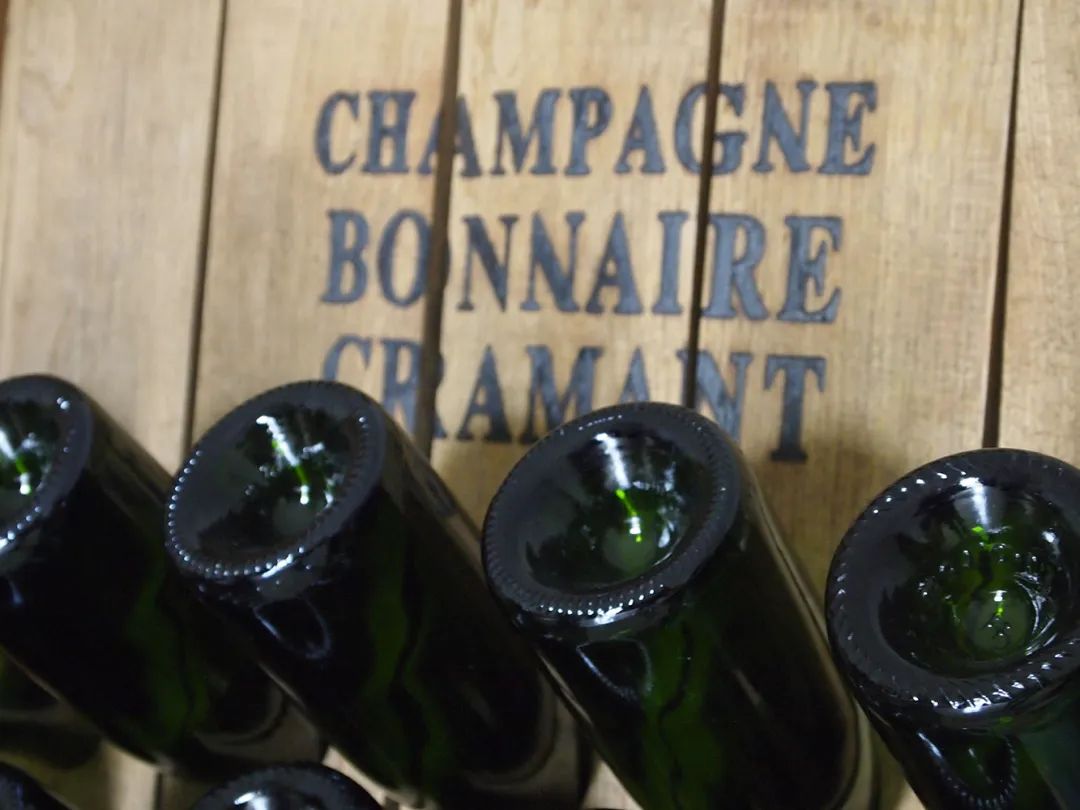 香槟葡萄园旅行,旅游香槟