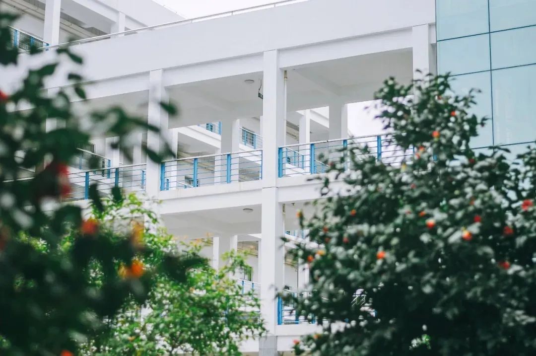 江西各个大学自主招聘,江西师范大学2024年招聘最新信息