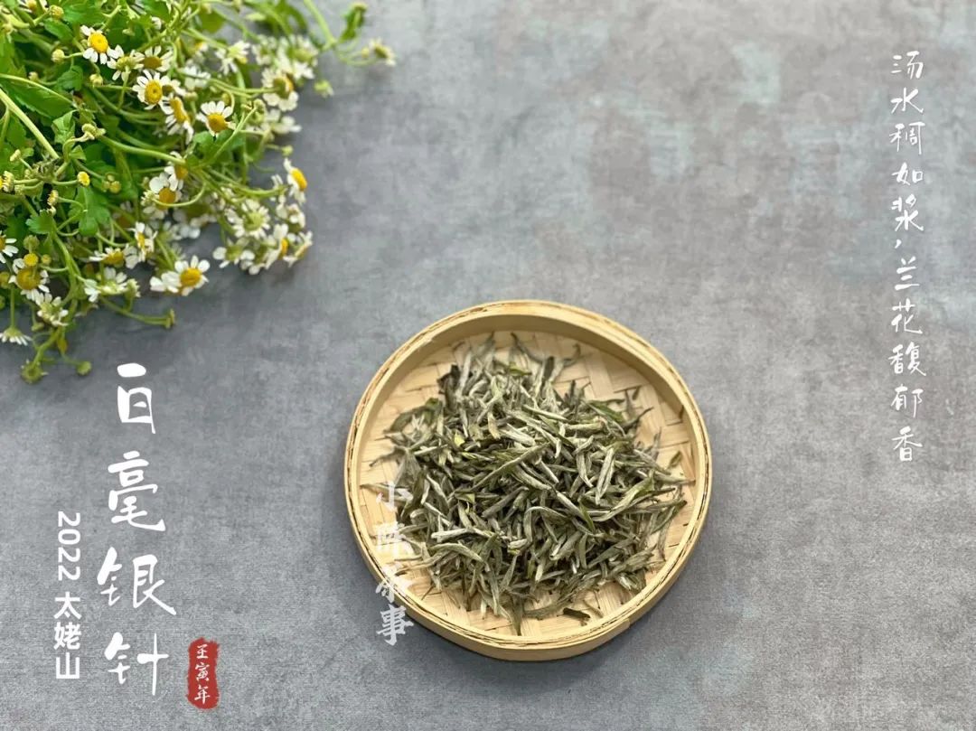 买茶100个经验,新手零基础买茶指南