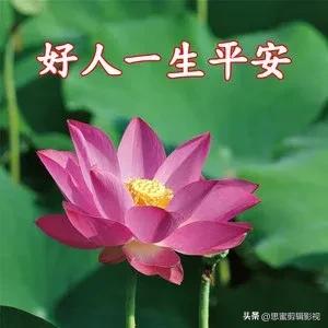 卖萝卜救妹妹求医的第72天