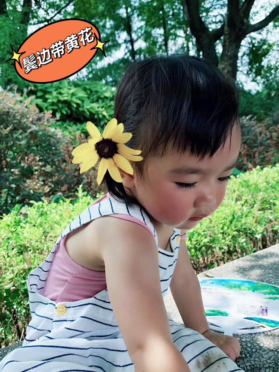 鹧鸪天词400首,鹧鸪天进阶