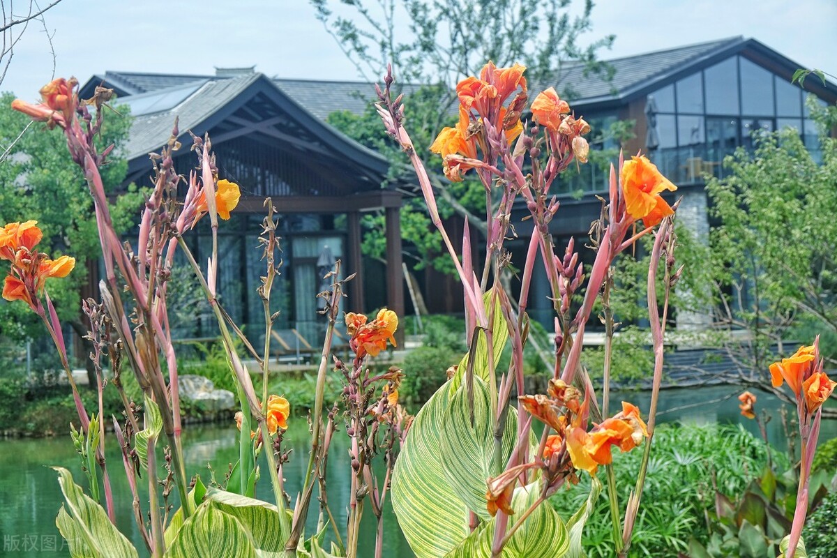 南京高淳旅游攻略,高淳石臼湖自驾游攻略