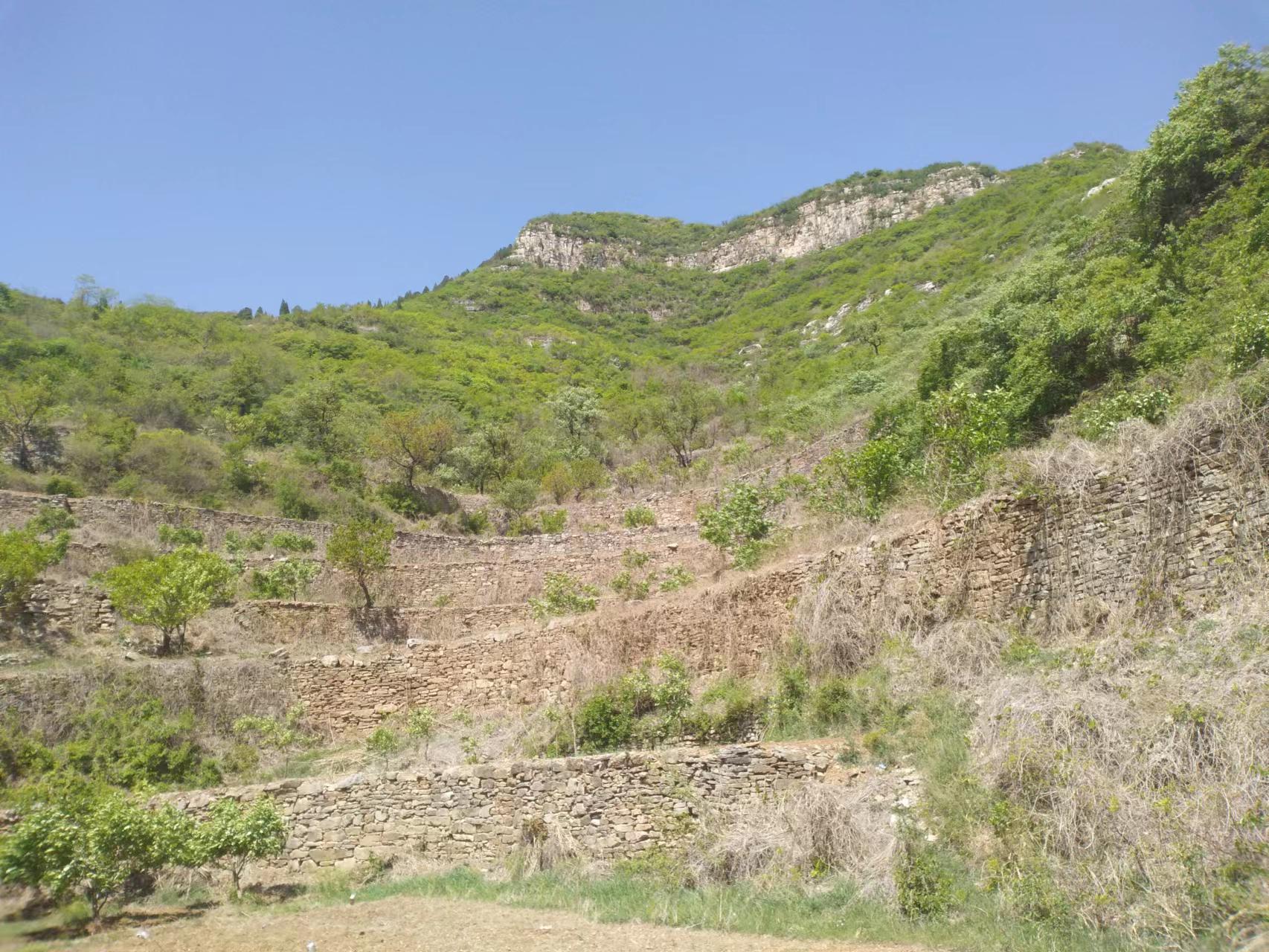 临朐自然美,临朐新美丽