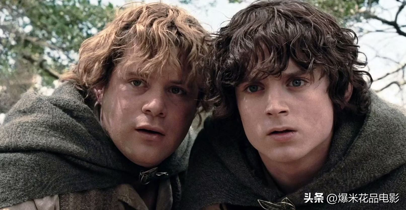 指环王电视剧和电影对比,《指环王》书籍