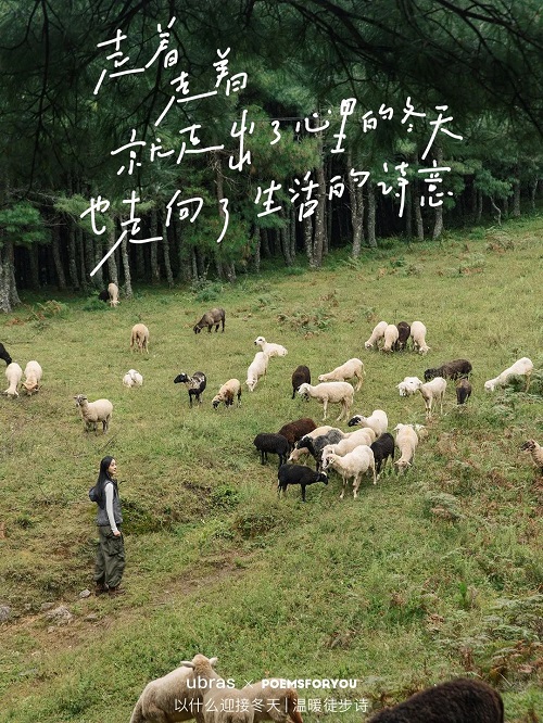 秋去冬来这些品牌暖起来了,秋去冬来接下来更值得期待