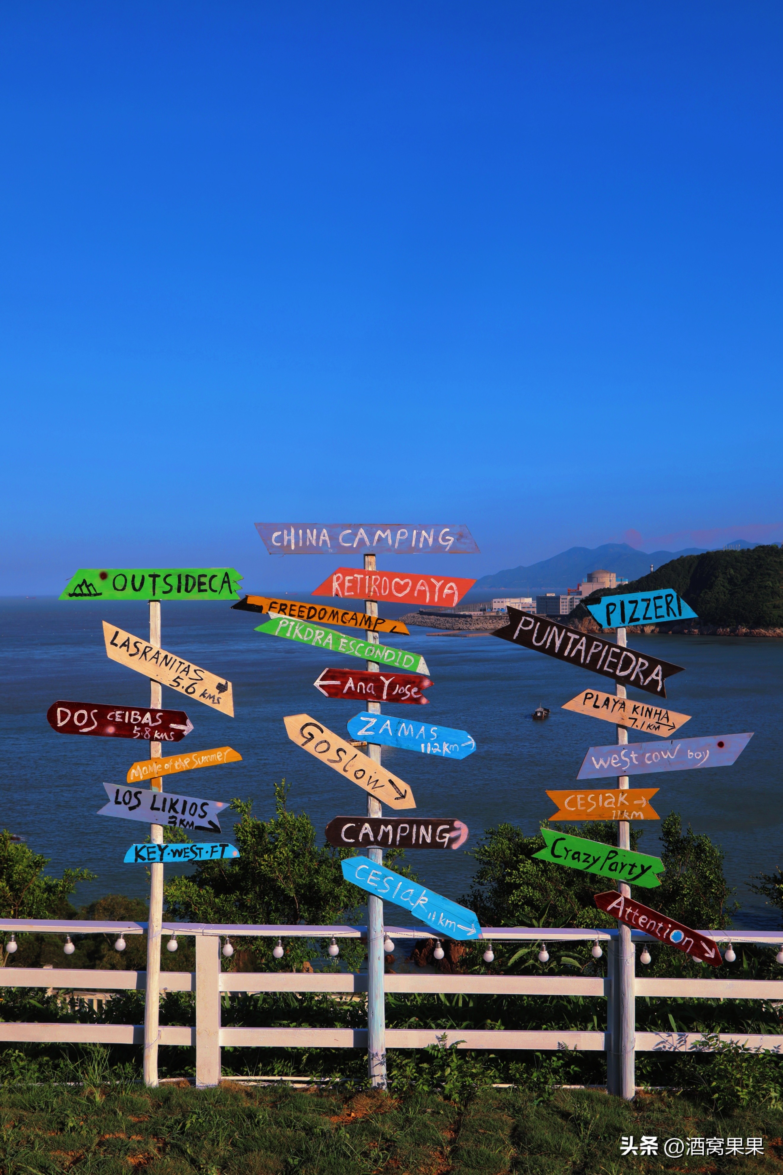 福鼎两天一夜旅游攻略,福鼎茶漫步茶园体验采茶之旅