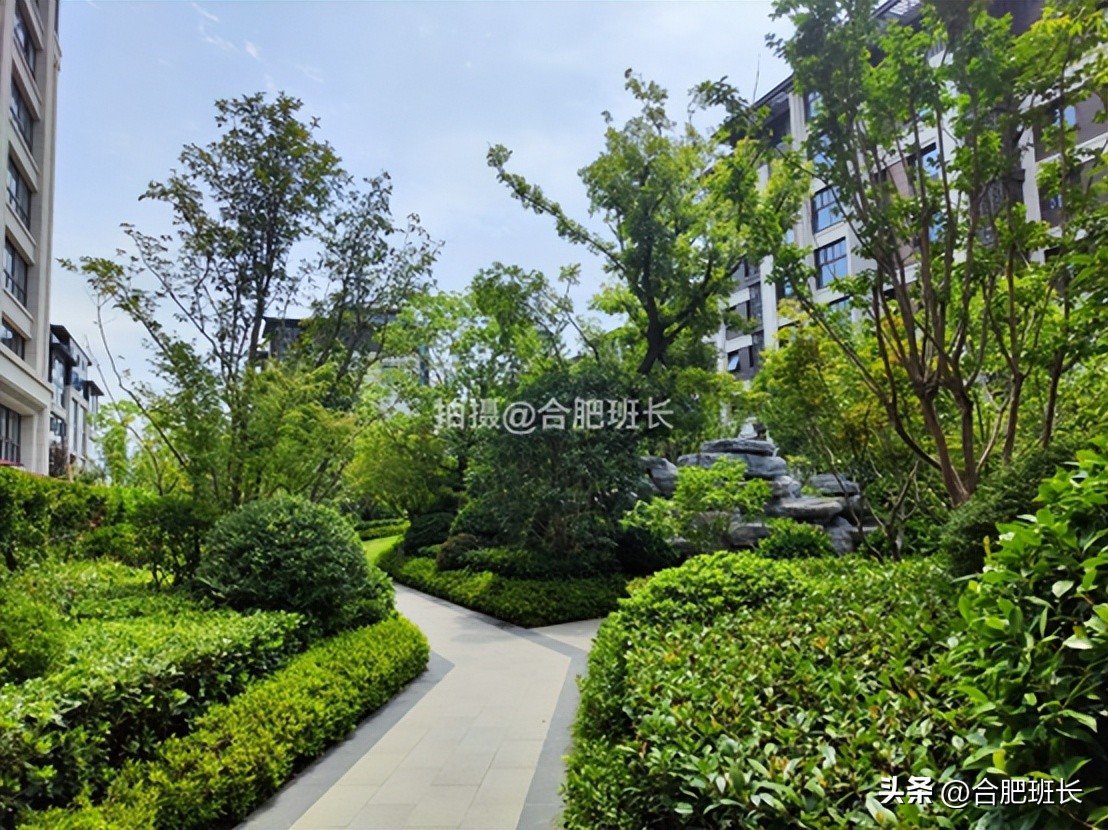 紧邻公园不如住在公园，实探以中式园林闻名的滨湖区葛洲坝紫郡府