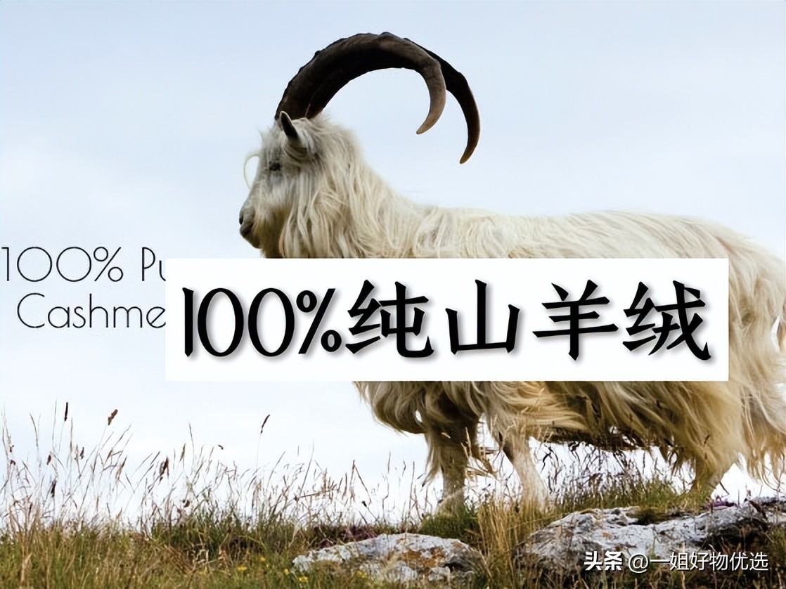 爱马仕围巾羊绒鉴定,爱马仕围巾羊绒多少钱