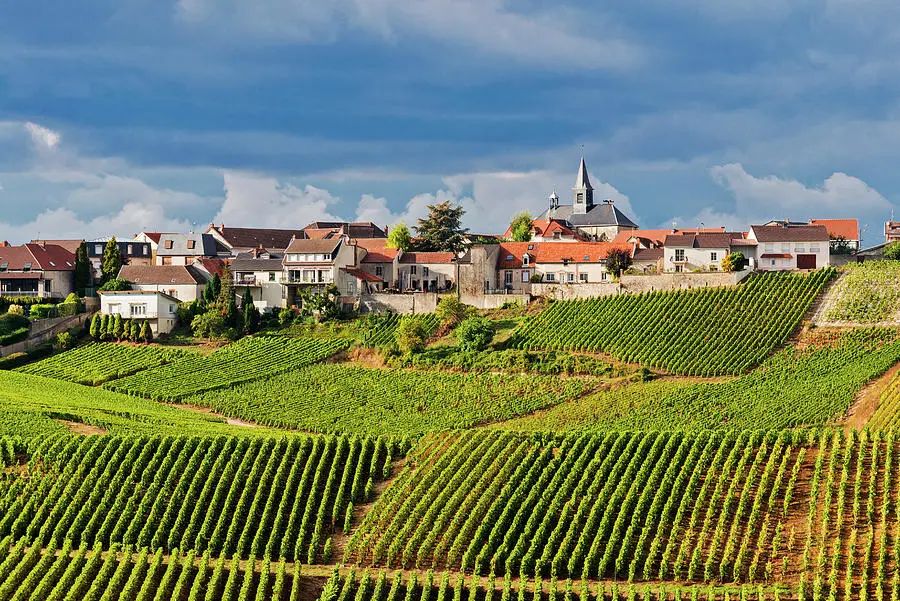 香槟葡萄园旅行,旅游香槟