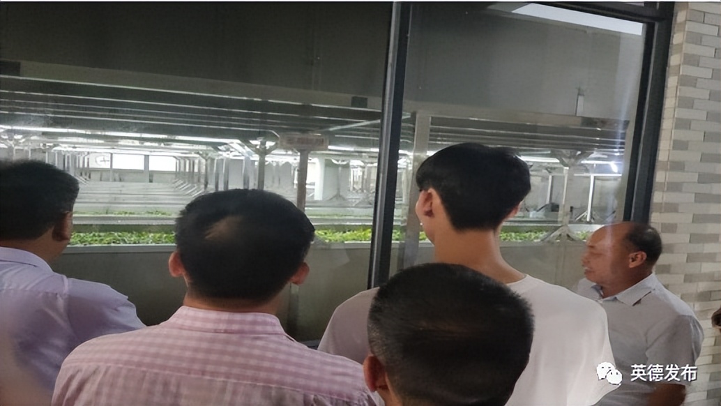 英红镇最新项目,英红镇的发展