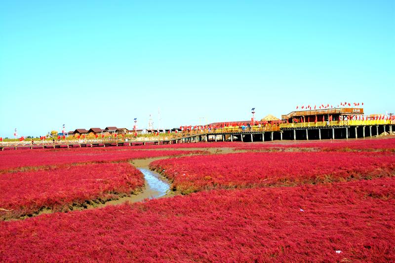 辽宁盘锦在哪个地方,去盘锦旅游哪里好