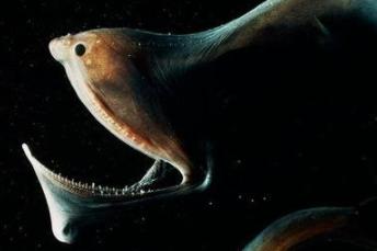 背单词全套教学视频,背单词全套教学