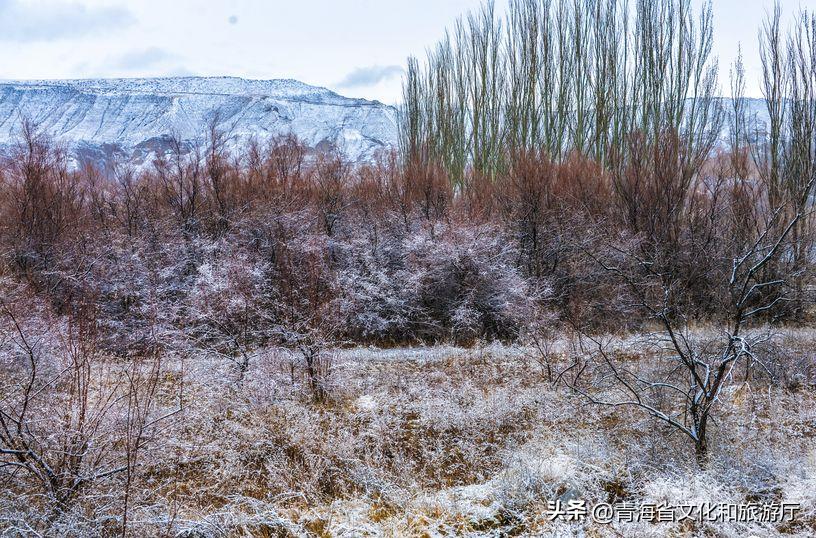 冬日的青海真的很美,青海的冬天美景