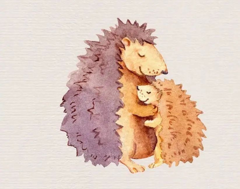 刺猬的自我疗愈,一只刺猬的自我疗愈