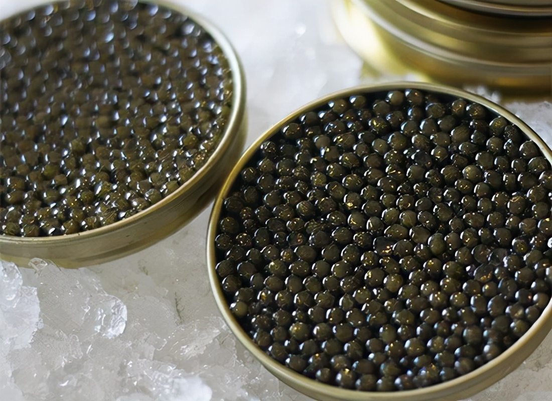 一千斤的鱼子酱,一千元一罐的鱼子酱