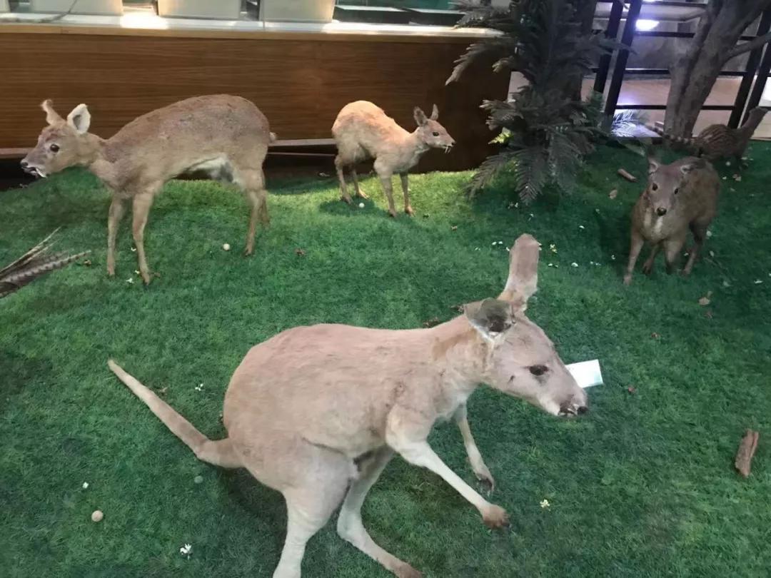 科技体验研学,科技研学课