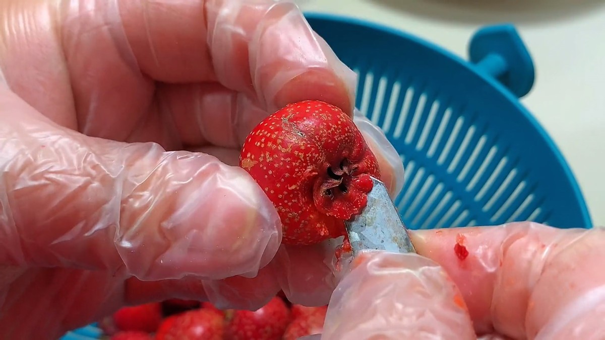 五谷杂粮清肝火排肝毒,既能清热燥肝又能泄肝火的食物