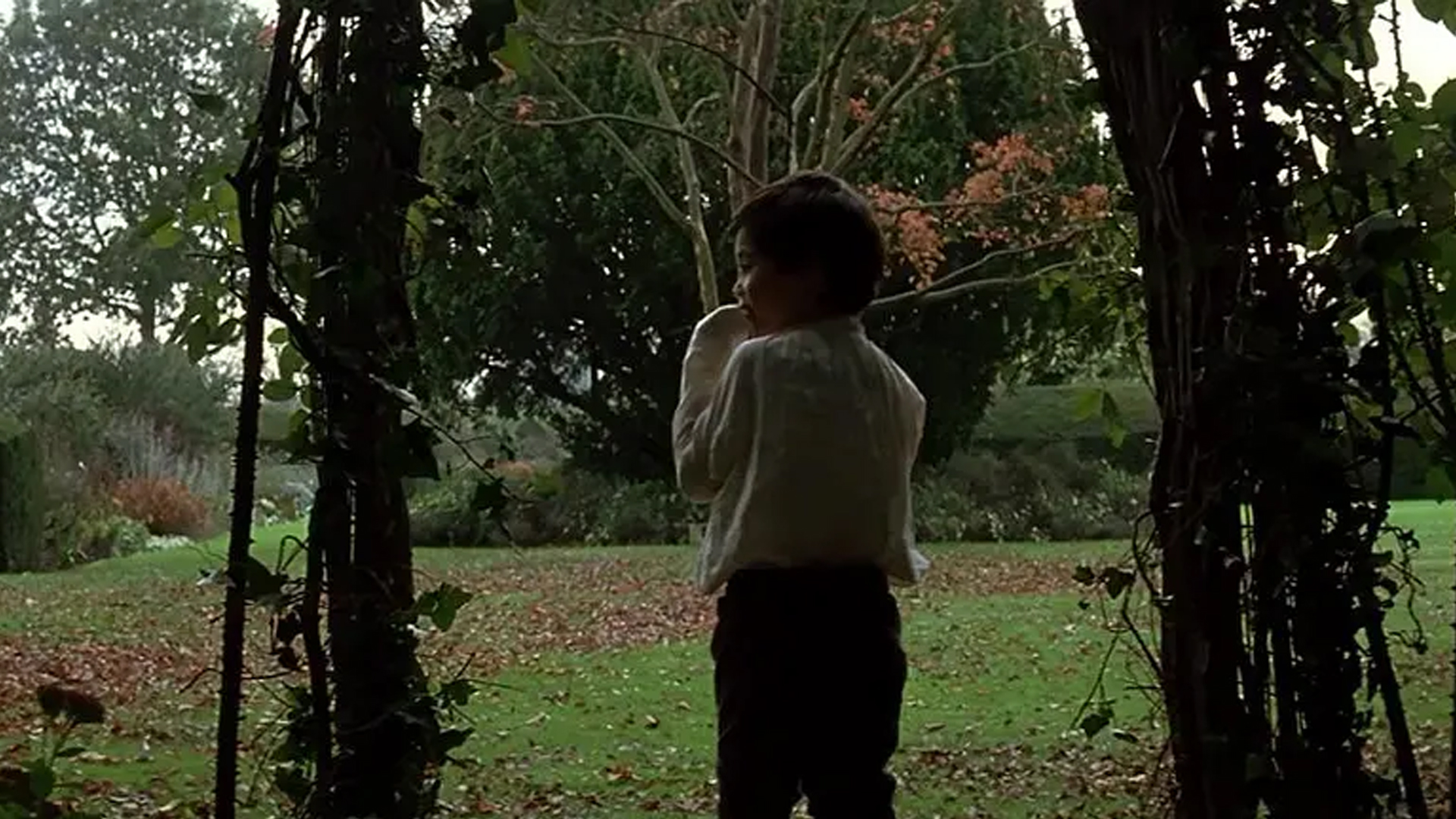 泰伦斯马利克镜头分析,泰伦斯马利克电影中的长镜头