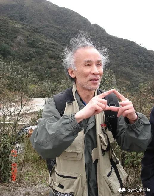 蛇博士完整版,蛇博士烙铁头