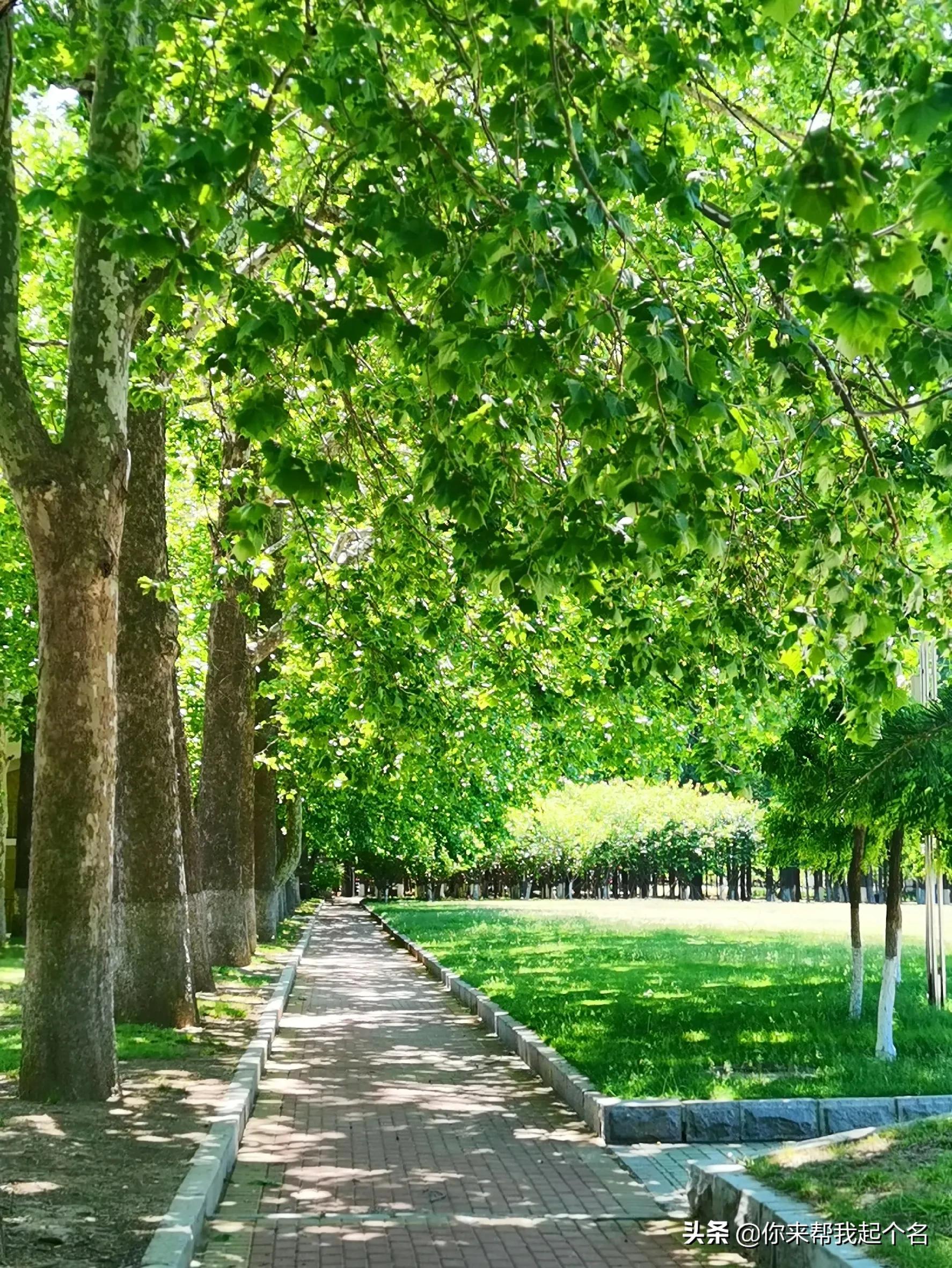 群内打广告该怎么正确管理,群里有人打广告怎么清除