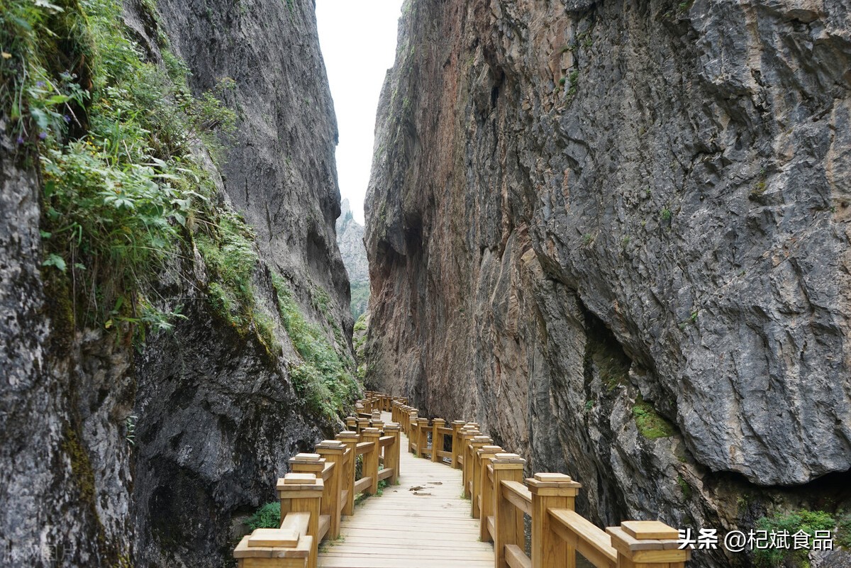 甘南大峪沟则岔石林,畅游甘肃青海西藏新疆