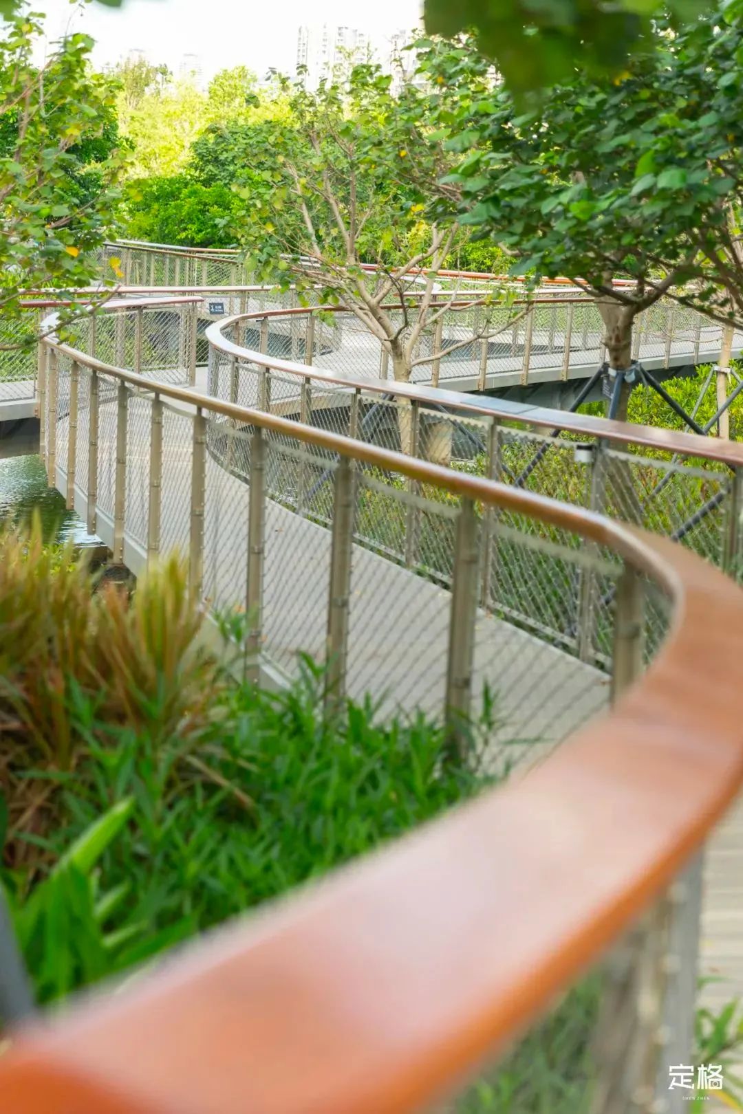 周末来深圳这10个地方免费玩,深圳周末去哪玩免费的地方