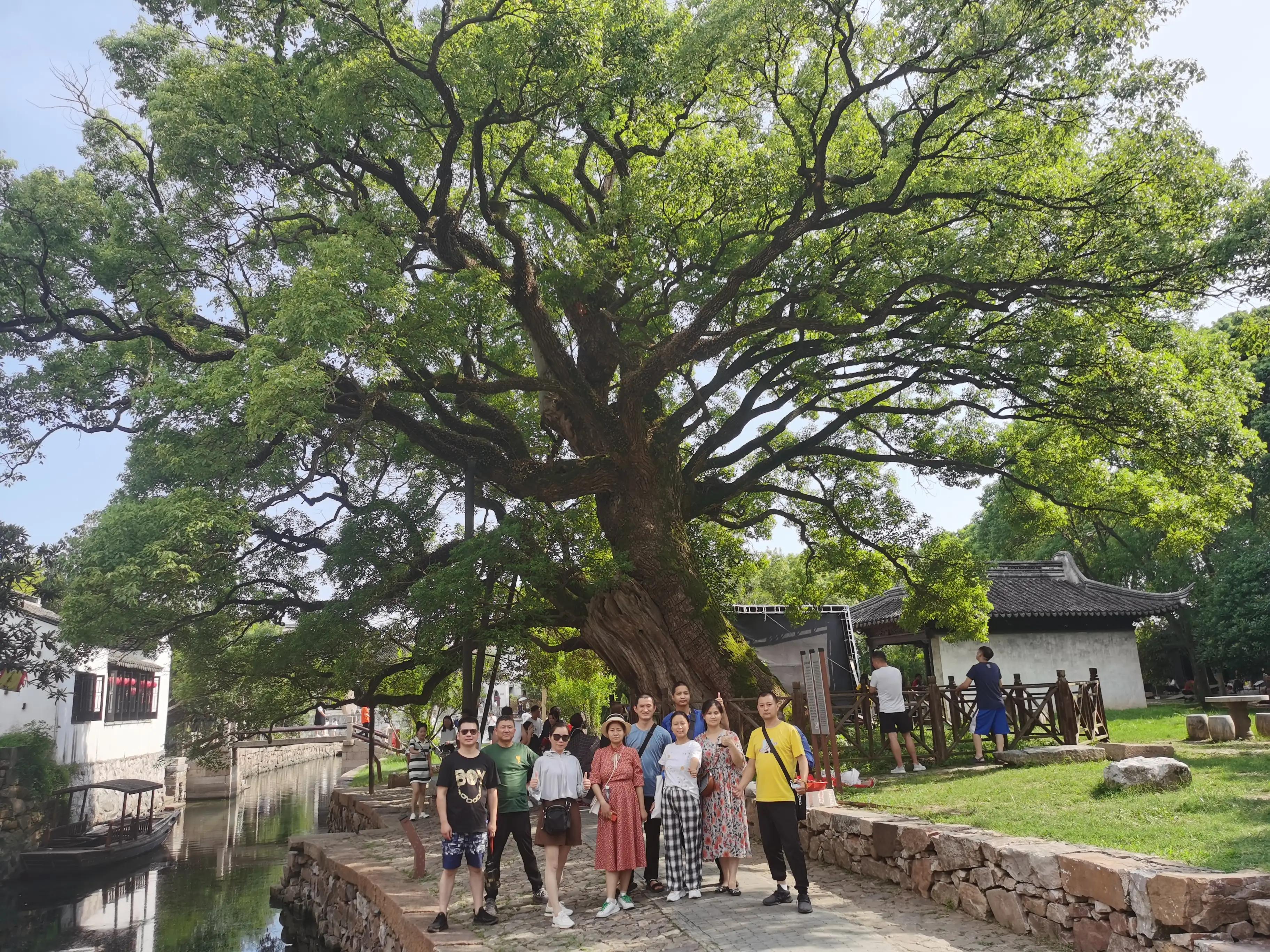 苏州金庭西山旅游攻略,苏州西山金庭古镇