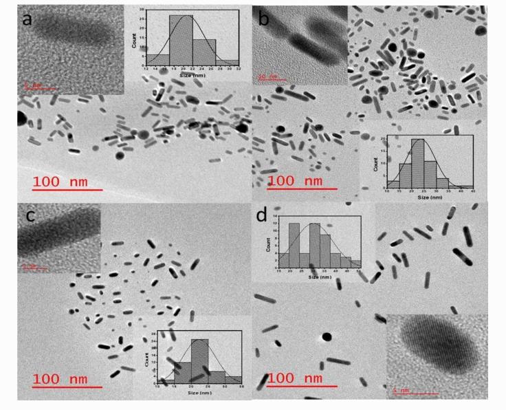 不同稳定剂对金纳米棒稳定性和光热分析的影响