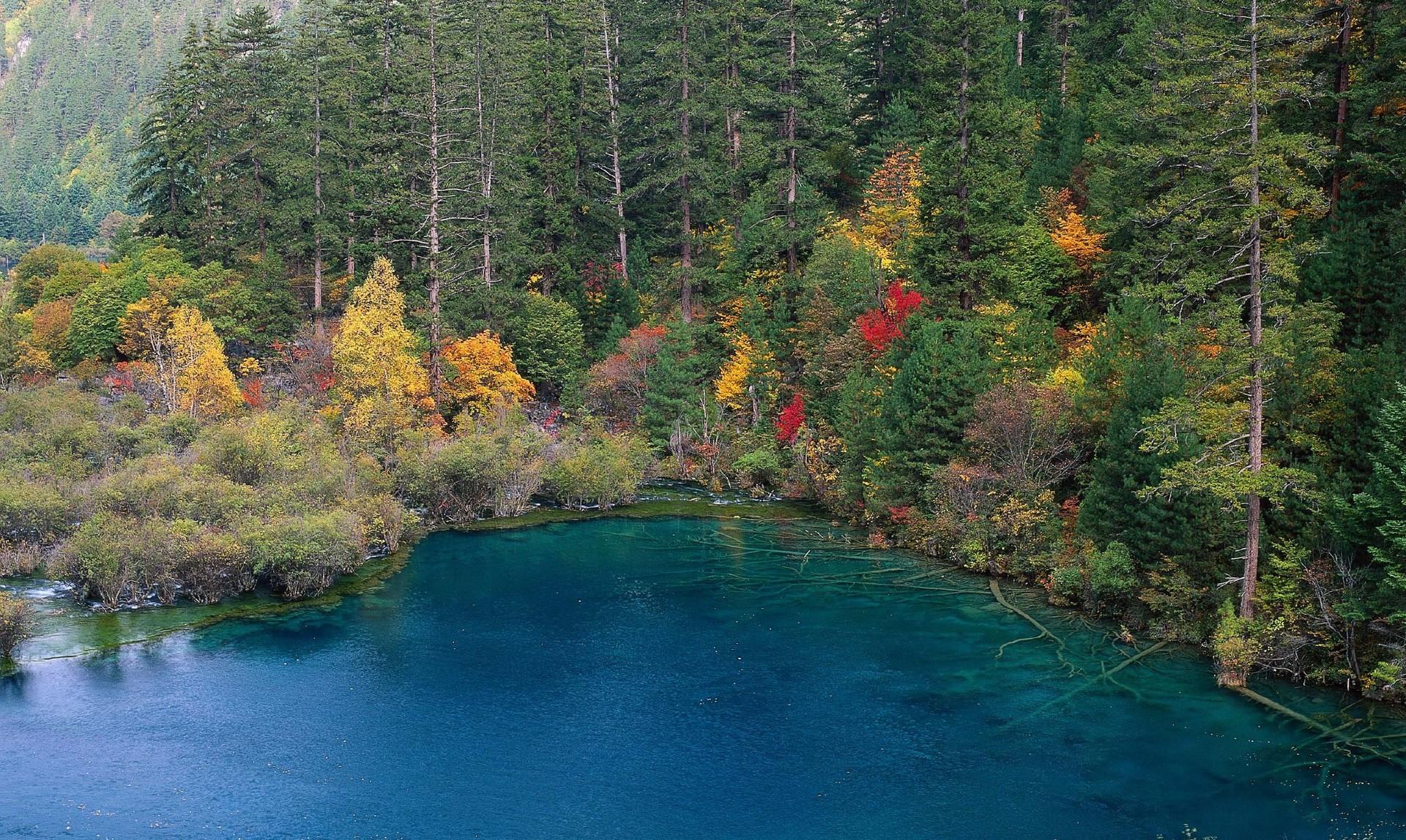 毕业旅行海边方案,暑期毕业旅行推荐