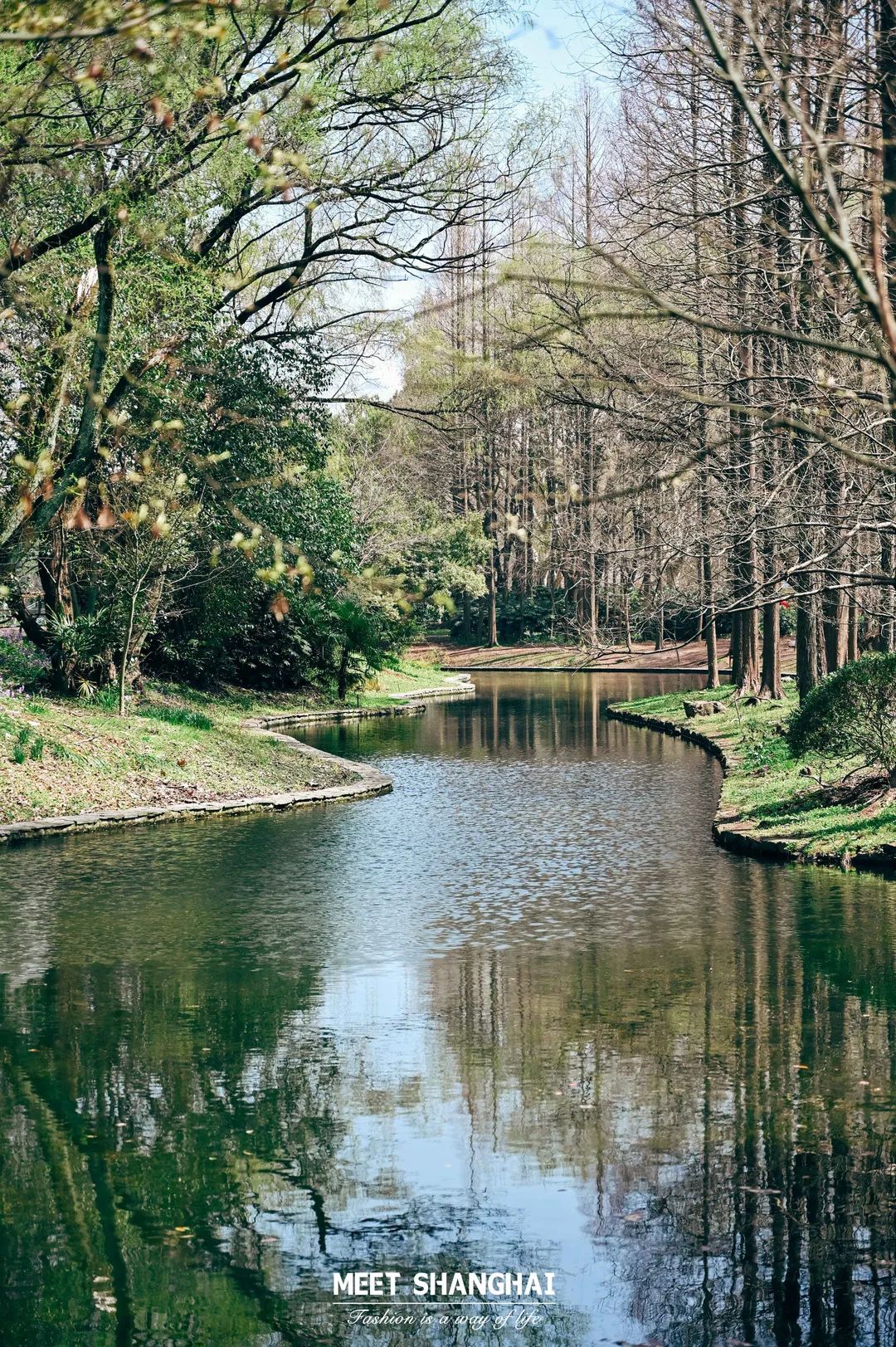 实用全上海532家公园攻略速速收藏,上海攻略必去的公园