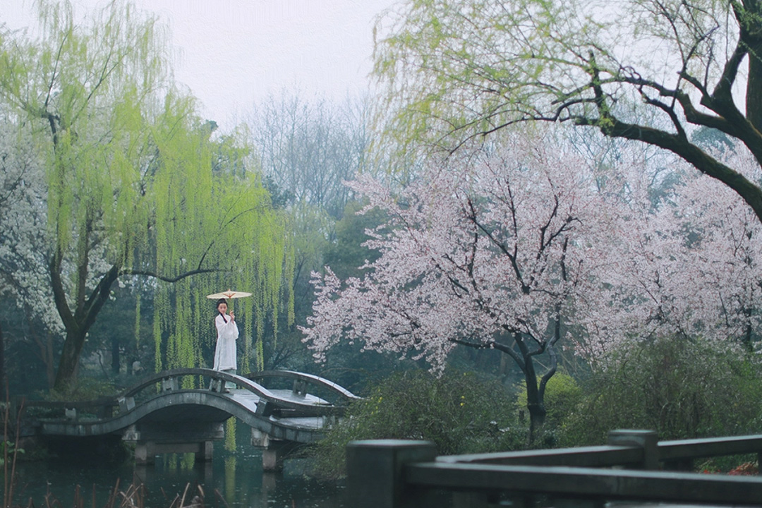 白居易的古诗出处,白居易桃李满天下诗句全文