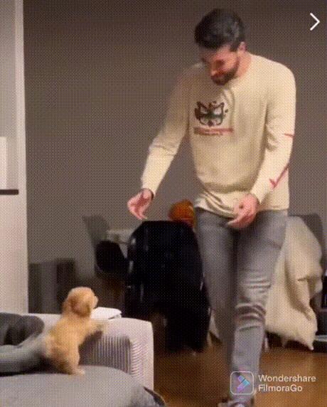 无聊图集20221126足球反着买，别墅靠大海