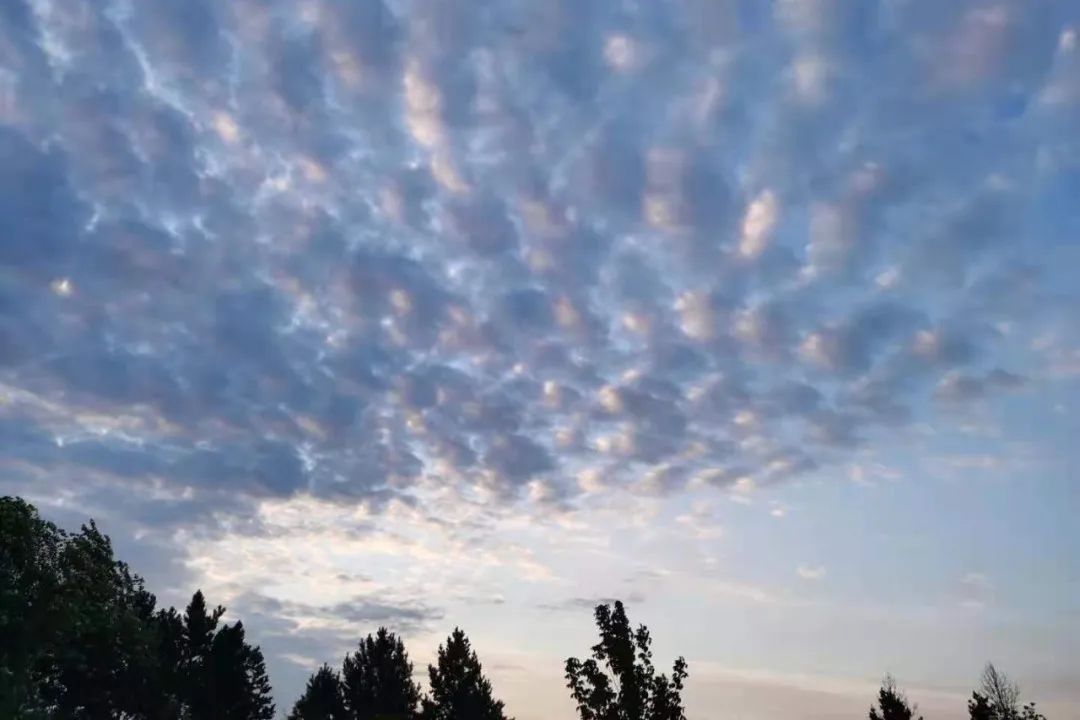 海拉尔夏天的蓝天,海拉尔的天为啥灰蒙蒙的