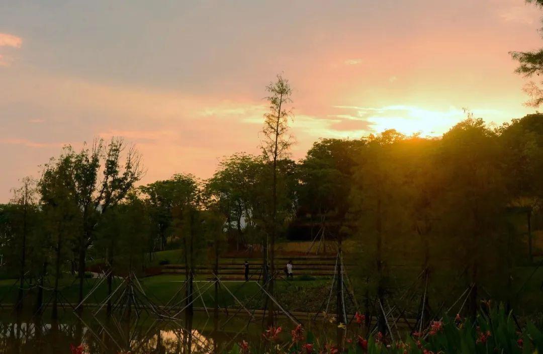 南方科技大学值不值得读研,南方科技大学难申请吗