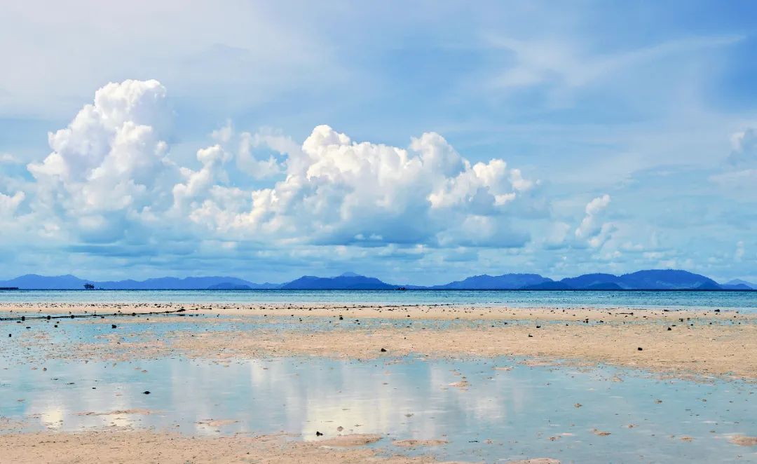 坤鹏论：读《泰阿泰德篇》探究知识是什么（三十）