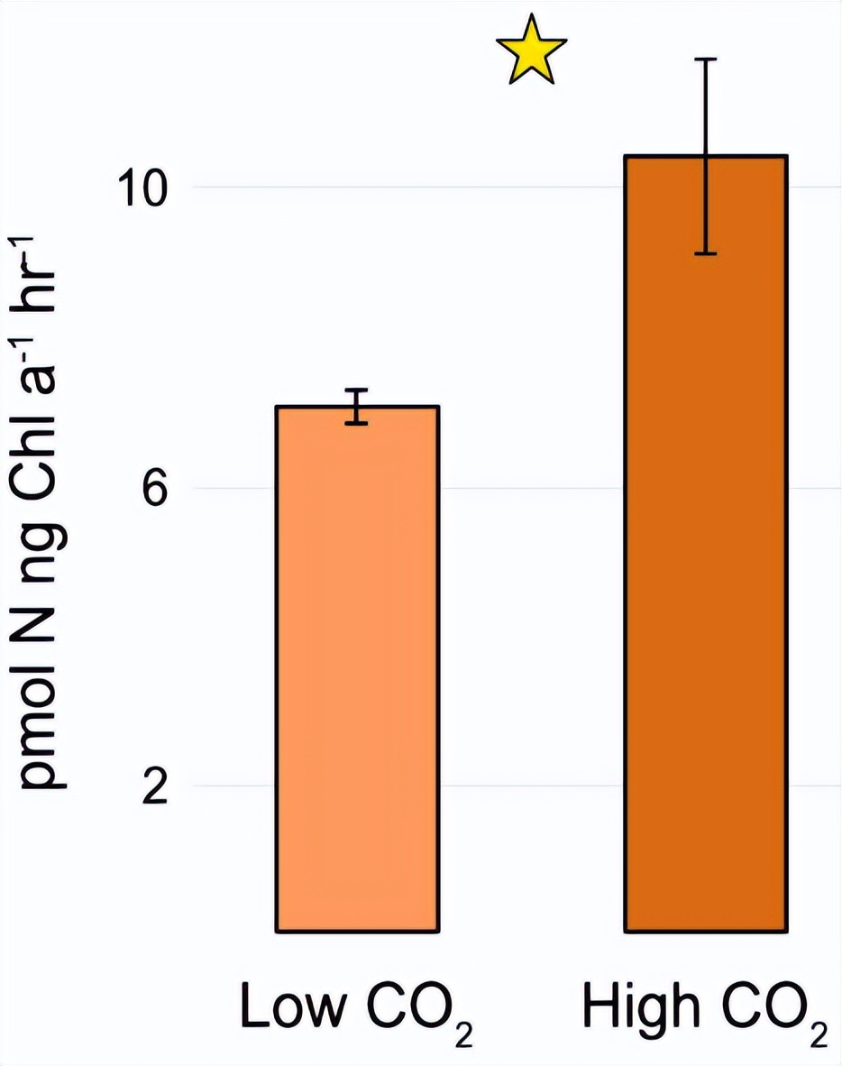 探索海洋固氮蓝藻毛滴虫联盟的转录活性，揭示水平氮循环潜在机制